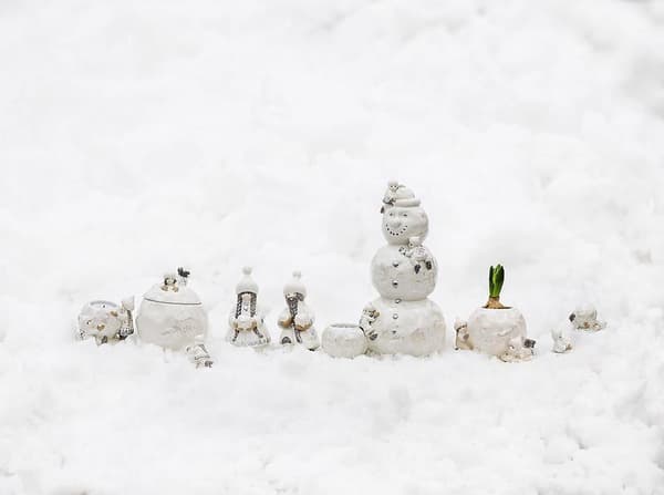 Skål Snövättebarnas Snöbolls gömma Cult Design