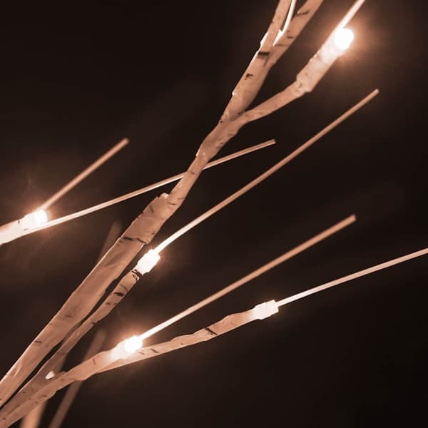 vidaXL Björkträd med LED varmvit 72 LEDs 150 cm