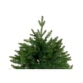 Miniatyrbild 4 av 6: Julgran DKD Home Decor Grön Polyetylen 120 x 120 x 180 cm