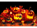 Pikkukuva 4 / 10: 4-Pack Spindlar - Halloween Dekoration