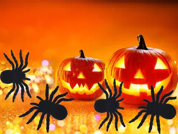 4-Pack Spindlar - Halloween Dekoration