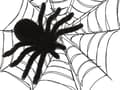 Pikkukuva 7 / 10: 4-Pack Spindlar - Halloween Dekoration