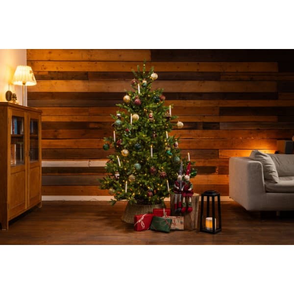 Enne Royal Grand verklighetstrogen julgran med LED-ljusslinga, 210 cm, grön