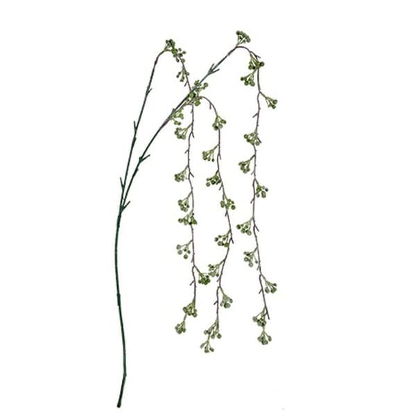 Gren Cvetlice Grøn Plastik 7 x 5 x 115 cm (12 enheder)