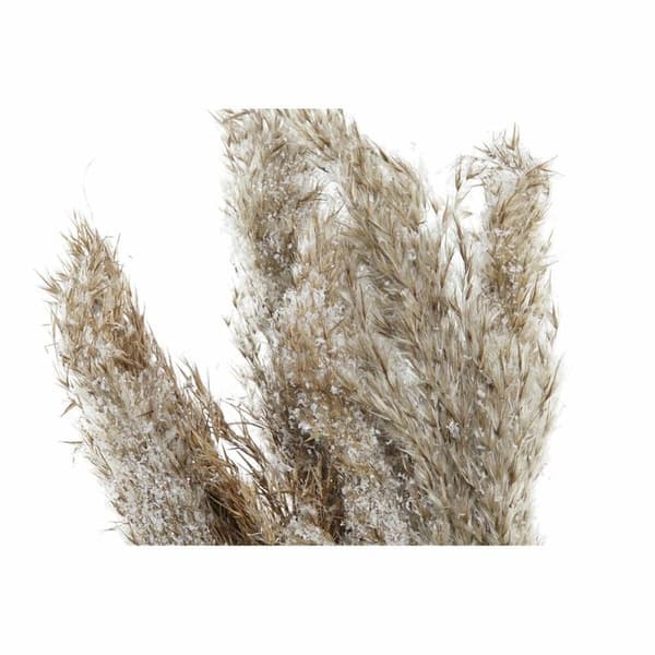 Dekorativ Plante DKD Home Decor Fjær PVC Fiber (35 x 25 x 55 cm) (2 enheter)