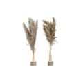 Miniatyrbilde 1 av 3: Dekorativ Plante DKD Home Decor Fjær PVC Fiber (35 x 25 x 55 cm) (2 enheter)