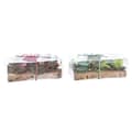 Miniatyrbild 3 av 4: Set med levande ljus DKD Home Decor Jul (5,5 x 5,5 x 6 cm) (2 antal)
