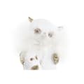 Miniatyrbillede 2 af 3: Julepynt DKD Home Decor Ugle Harpiks (7,5 x 7 x 10 cm) (2 enheder)