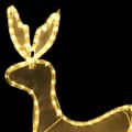 Miniatyrbillede 6 af 8: Julebelysning - Living juledisplay med 2 rensdyr og kane trådnet 648 LED-lys