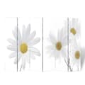 Miniatyrbillede 1 af 6: vidaXL foldbar rumdeler 217 x 170 blomstermotiv