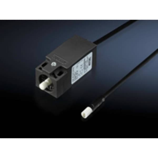 Rittal Dörrpositionsbrytare 2500.460 24 V/DC, 230 V/AC (L x B x H) 78 x 31 x 30 mm 1 st