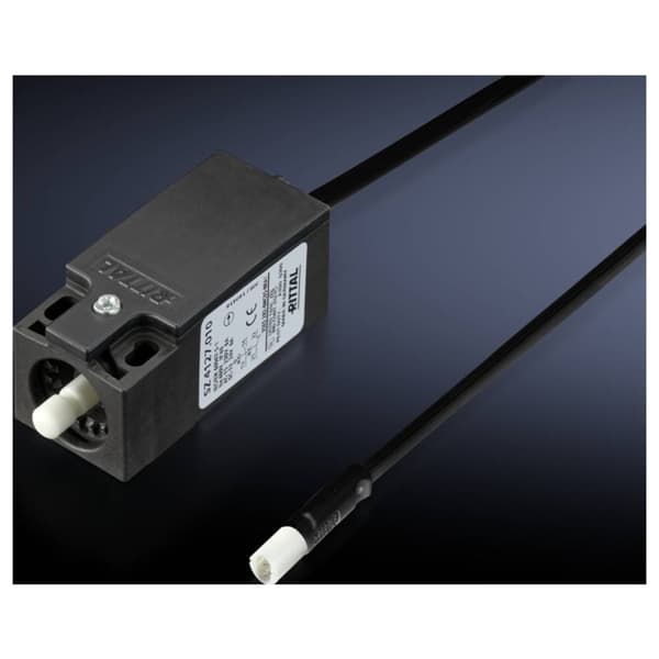 Rittal Dörrpositionsbrytare 2500.460 24 V/DC, 230 V/AC (L x B x H) 78 x 31 x 30 mm 1 st