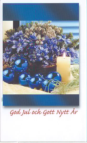 10 st enkla kort med kuvert - God Jul och Gott Nytt År - (nr5) julkort