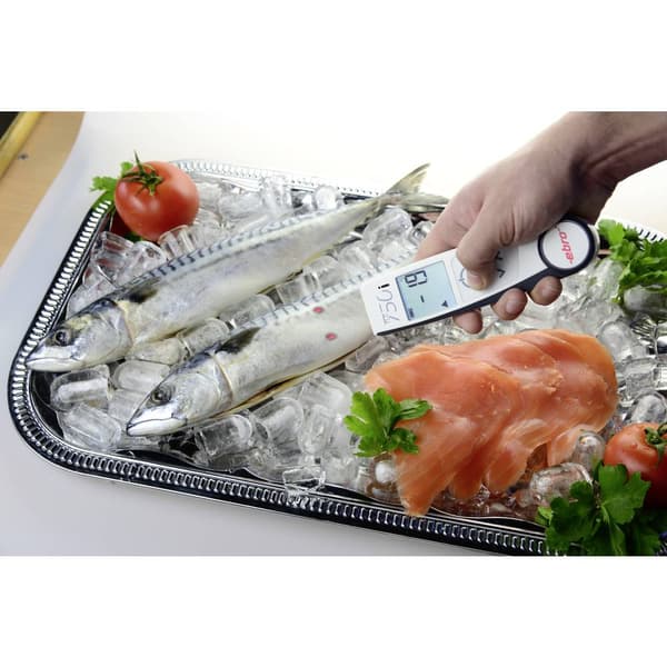 ebro TLC 750i IR-termometer och instickstermometer (HACCP) Optik 2:1 -50 - +250 °C HACCP-konform, Kontaktmätning, Berör