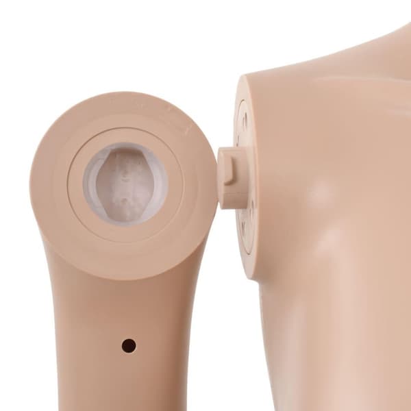 vidaXL Skyltdocka sexig dam med bas i glas beige 180 cm