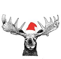 Servetter Älg med luva Jul 2-pack (40st servetter)