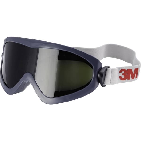 3M 2895S Heltäckande skyddsglasögon Svart, Vit EN 169 DIN 169