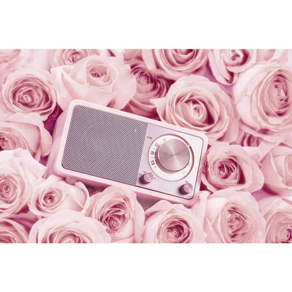 Bordsradio Sangean WR-7 Genuine Mini FM uppladdningsbart Rosa