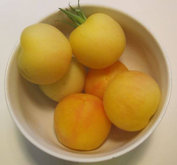 Tomat Garden Peach 5 st frön