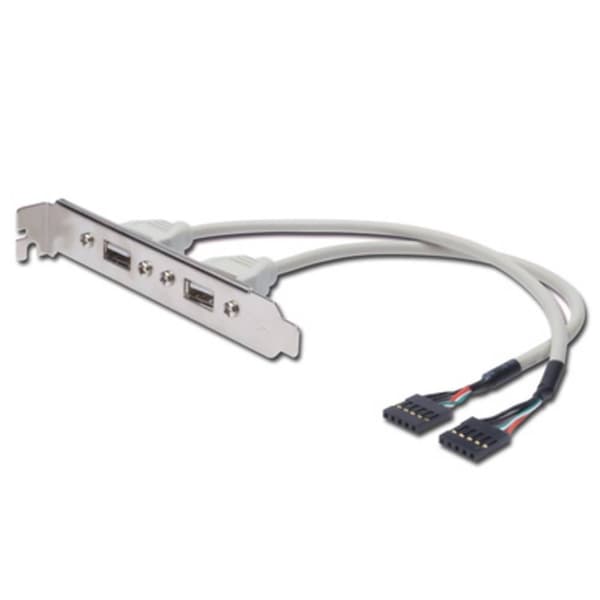 Digitus USB 2.0 Anslutningskabel [2x USB 2.0 intern 5-pol hane - 2x USB 2.0 A hona] 25.00 cm