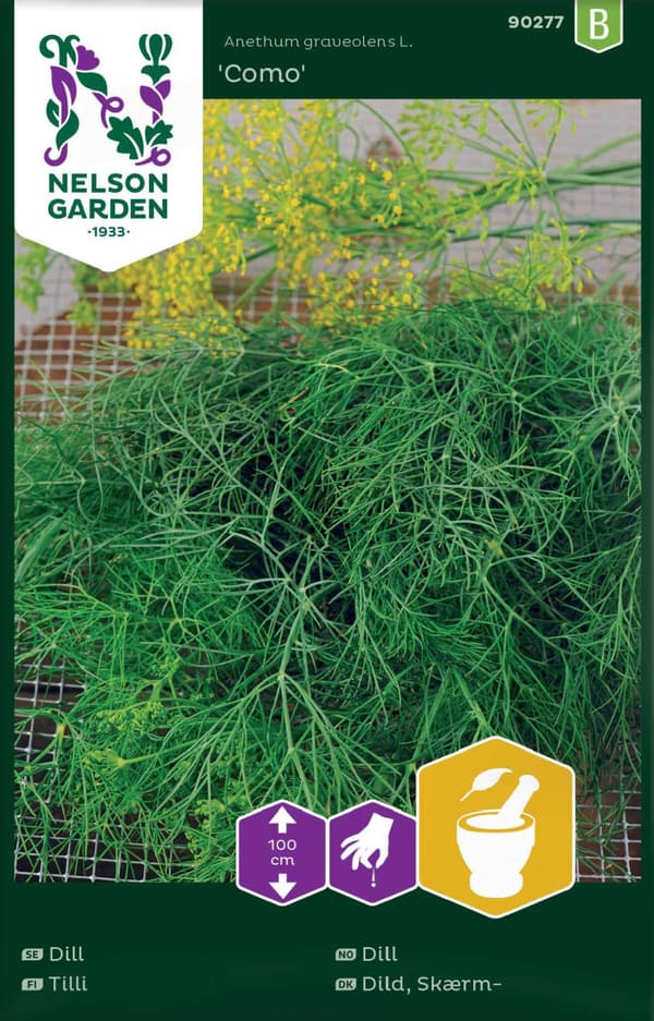 Dill 'Como' frö