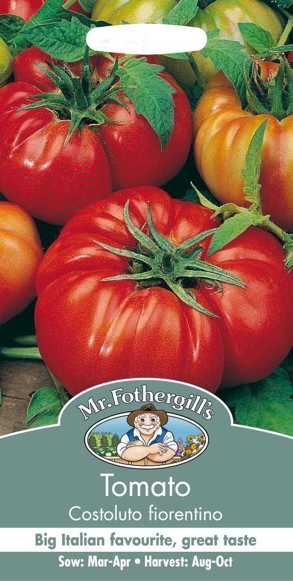 Biff-, Tomat 'Costoluto Fiorentino'
