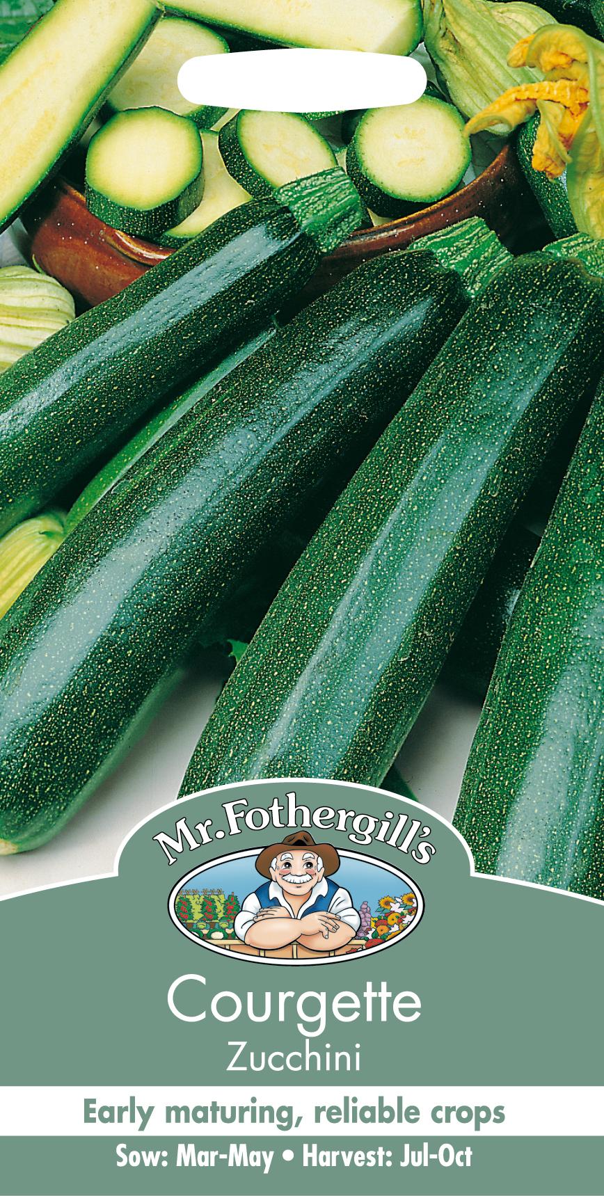 Sommarsquash 'Zucchini'