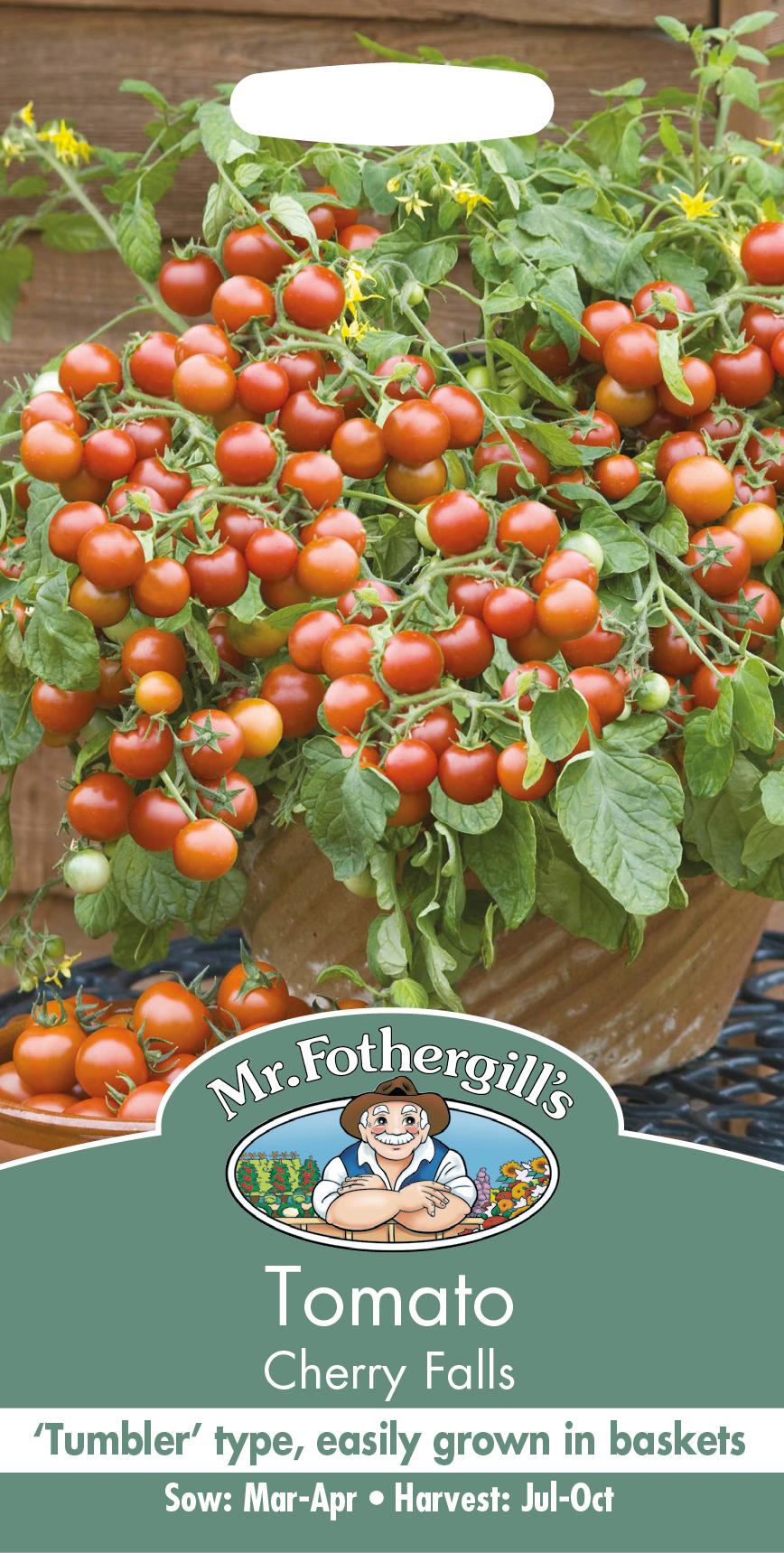 Körsbärs-, Tomat 'Cherry Falls'