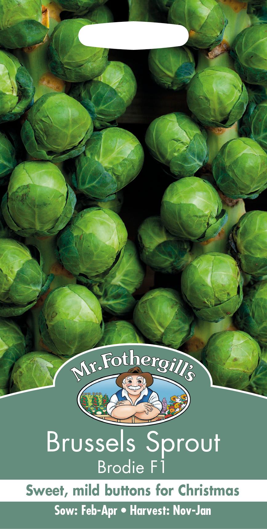 Brysselkål 'Brodie F1'