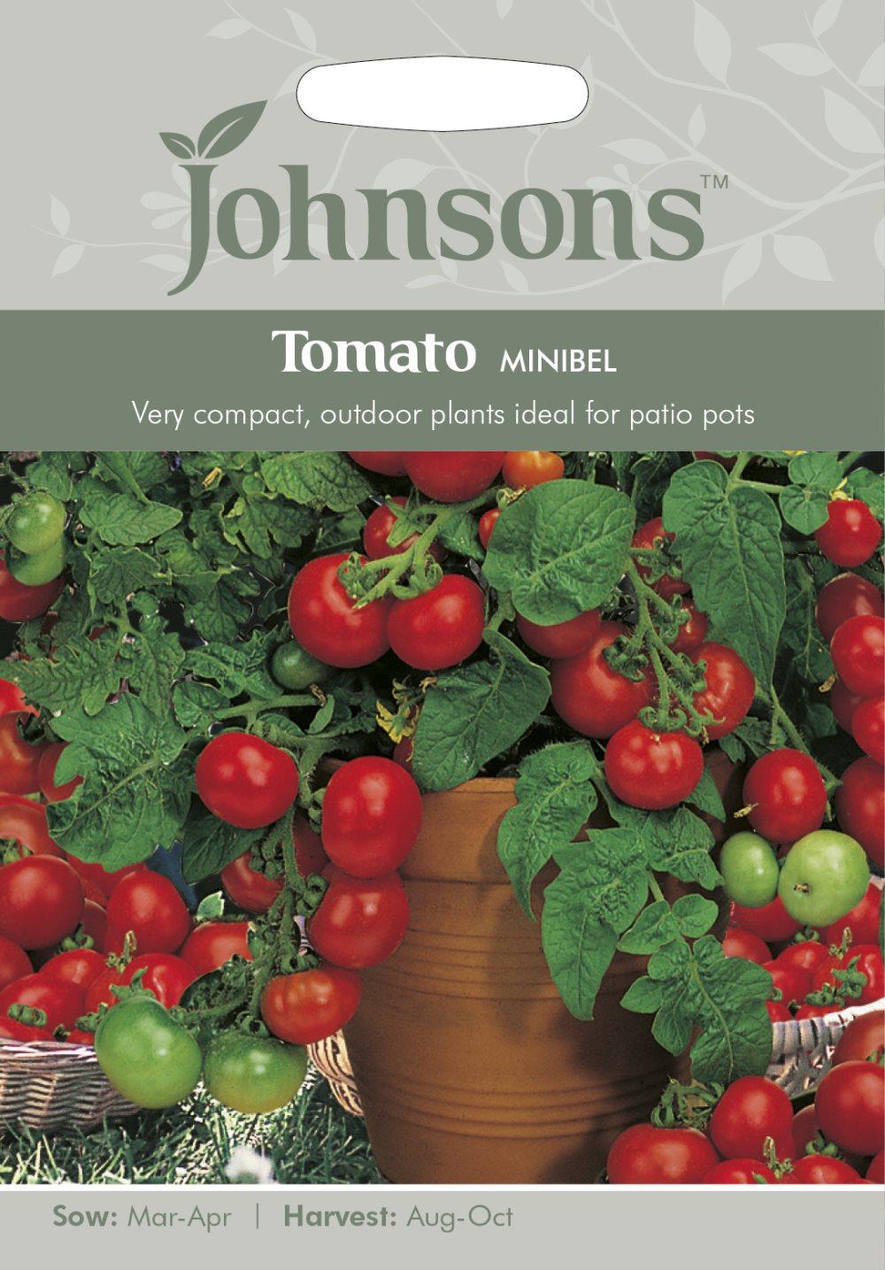 Tomat 'Minibel'