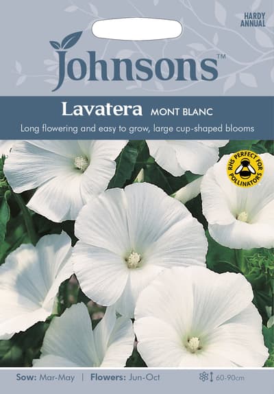 Sommarmalva 'Mont Blanc', frö
