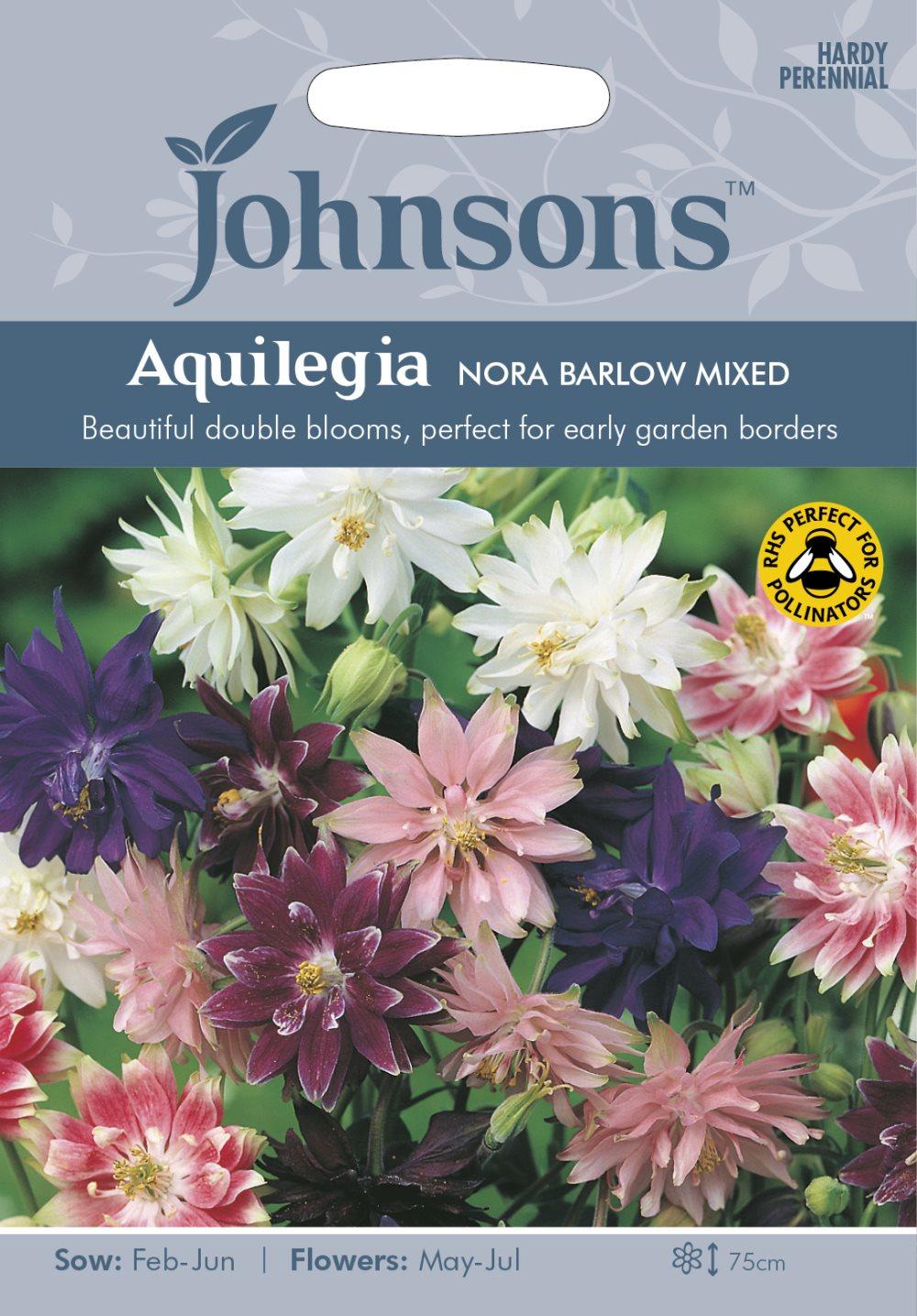 Akleja 'Nora Barlow Mixed'