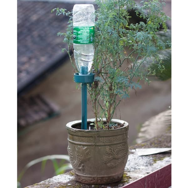 Automatisk bevattning krukväxter – vattnar blommor med PET-flaska
