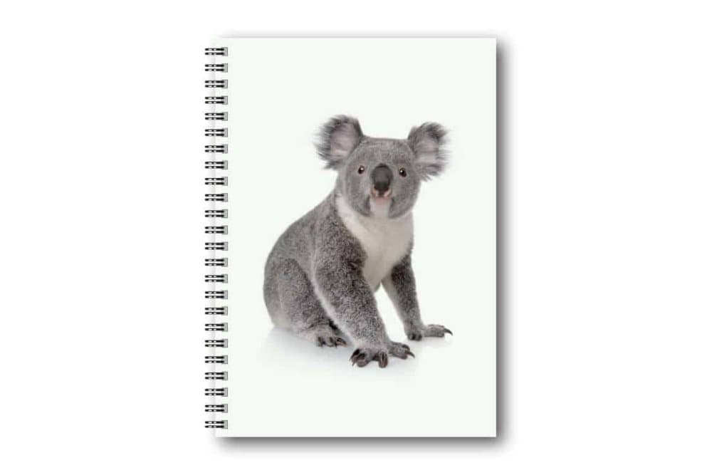 Skrivbok Koala