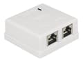 Pikkukuva 2 / 5: Delock Modular Wall - Stik til montering på overflade - CAT 6 - STP - RJ-45 X 2 - hvid