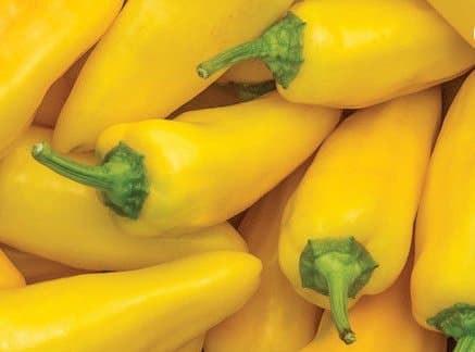Paprika ´Lemon Dream´ 5 st frön