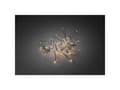 Miniatyrbilde 2 av 5: Konstsmide 6387-800, 100 lamper, LED, Rav, Innendørs, Sort, 14,9 m