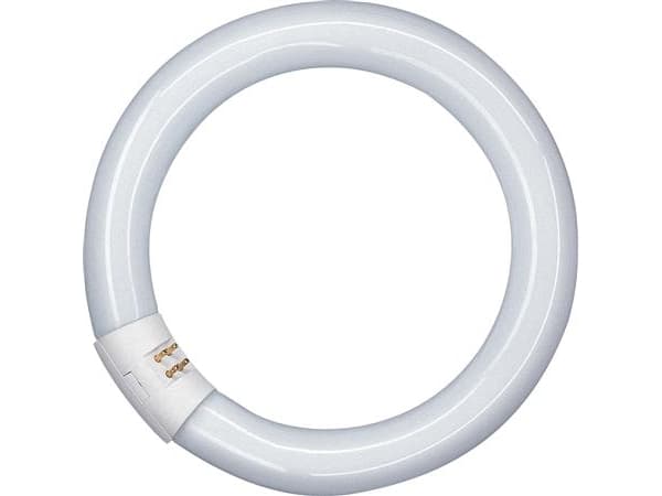 OSRAM LUMILUX T9 C - Fluorescerende lyspære - form: T9 - G10q - 32 W - klasse G - 2700 K