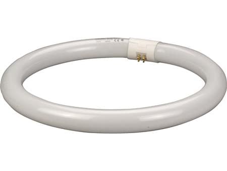 OSRAM LUMILUX T9 C - Lysrör - form: T9 - G10q - 32 W - klass G - svalt vitt ljus - 4000 K