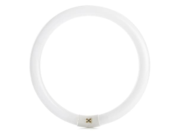 OSRAM LUMILUX T9 C - Lysrör - form: T9 - G10q - 32 W - klass G - svalt vitt ljus - 4000 K