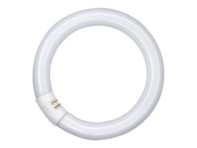 OSRAM LUMILUX T9 C - Lysrör - form: T9 - G10q - 32 W - klass G - svalt vitt ljus - 4000 K