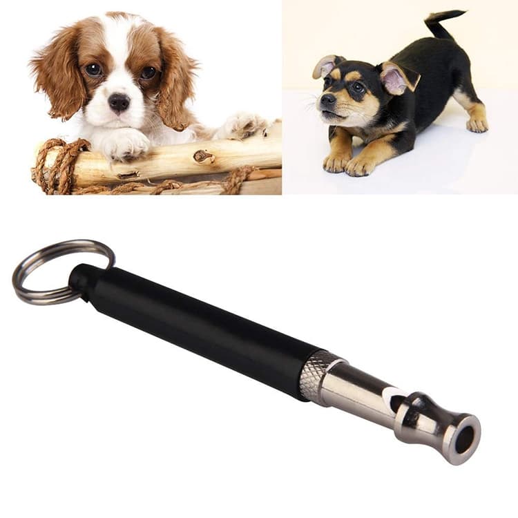 Hundvisselpipa, högfrekvent