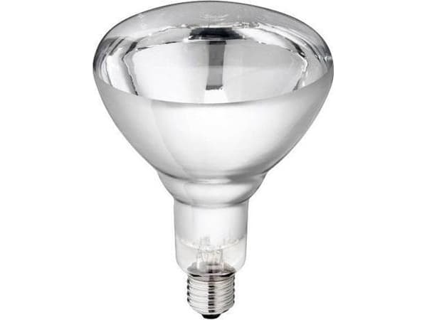Philips 57523425, 250 W, Lyspære, 5000 timer, Hvit, Glass, 230 - 250 V