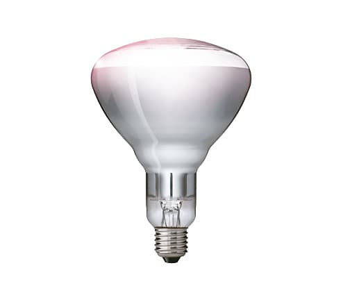 Philips 57523425, 250 W, Lyspære, 5000 timer, Hvit, Glass, 230 - 250 V