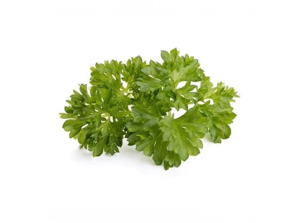emsa substratkapsel CLICK&GROW PARSLEY SMART SOIL-teknologi, inneholder frø av høy kvalitet, - 1 stk (M5261000)