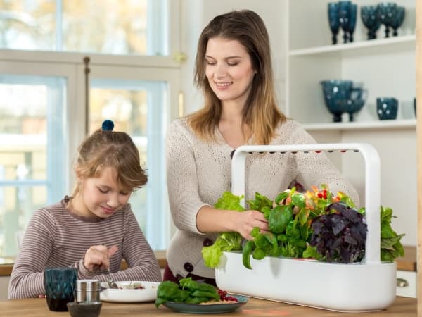Click & Grow Smart Garden 9, LED, 9 lamppua