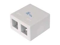 DIGITUS Professional AT-AG 302A-WH - Hus med modulær indsats - värillinen, RAL 9010 - 2 porte