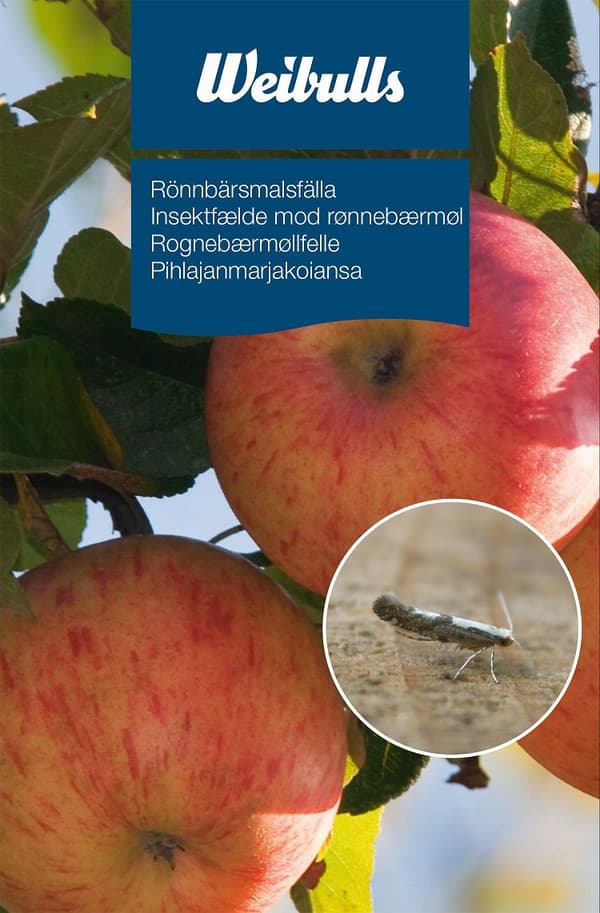 Feromonfälla Rönnbärsmal
