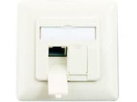 M-CAB - Overflatemonteringsboks for nettverk - CAT 6 - RJ-45 X 2 - RAL 9010, ren hvitfarge - 1 sett
