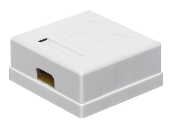 NetRack täydellinen pinta-asennettava pistorasia 2xRJ45 8p8c - (106-21)